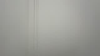 Rua do Cardal de São José 71  1