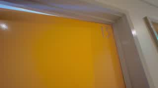 117 Arundel Street, Forest Lodge