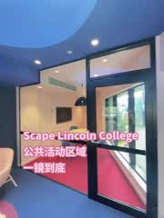 Scape Lincoln College